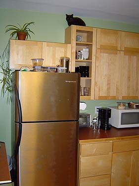 boo_cabinet_01