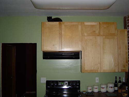 boo_cabinet_03