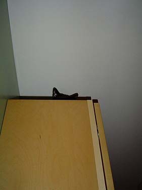 boo_cabinet_05