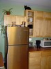 boo_cabinet_01