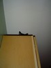 boo_cabinet_05